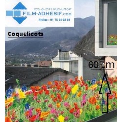 film décoratif fleurs coquelicots